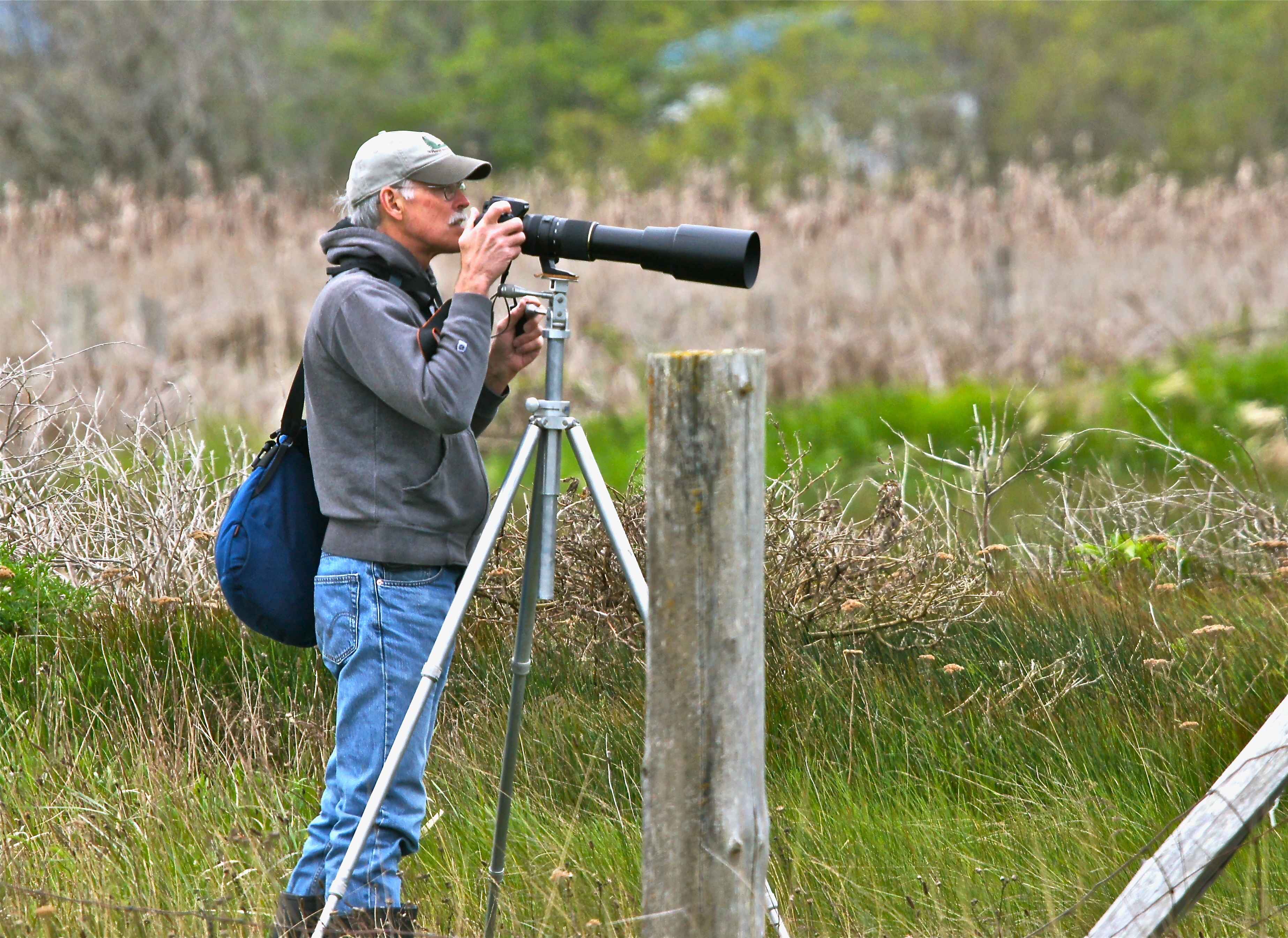 Birding at Helen's Pond, Dungeness, WA